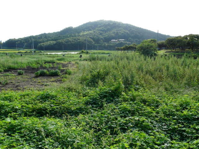 P1070759(1).jpg