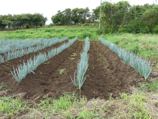 P1070775(1).jpg