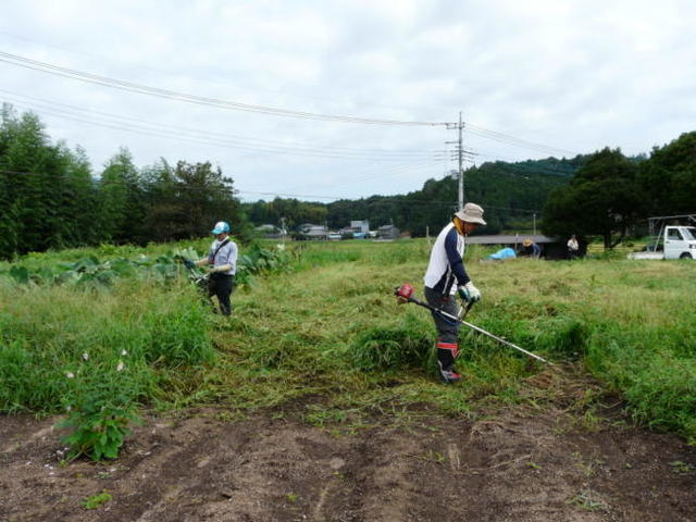 P1070797(1).jpg