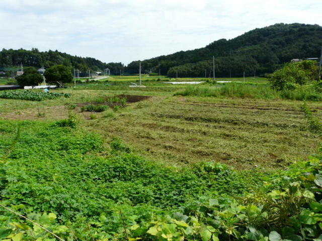 P1070845(1).jpg